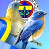 hakan kaptan profil fotoğrafı