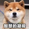 Profilbild von andyli