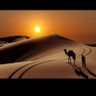 BUALI 的头像