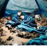 Фото профиля Human_animal