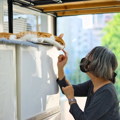 東京キャットガーディアン山本葉子's profile picture