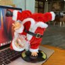 圣诞🧑‍🎄老登 profil fotoğrafı