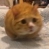 urgh…. life's profile picture