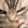 Raa ྀི's profile picture