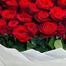 Profilbild von مهند