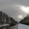 Фото профиля little boy