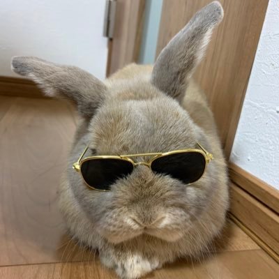 ミナ's profile picture