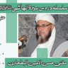 HUSNUL AMIN's profile picture