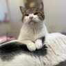 川原南 profil fotoğrafı