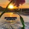 وفاء 的头像