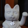 catwhite's profile picture