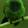 AlterRion profil fotoğrafı
