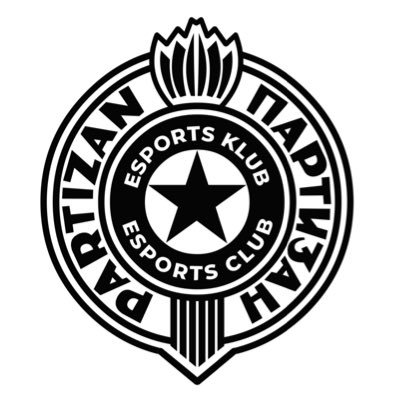 esportspartizan's profile picture