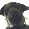 S@sam's profile picture