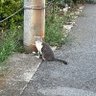 まさと profil fotoğrafı