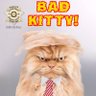 Meme War Veteran's profile picture