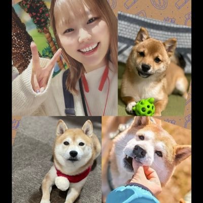 yukikuma07151's profile picture