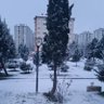 ertuğrulgazi 的头像