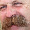 si234le12's profile picture