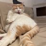 かとう profil fotoğrafı