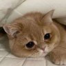 Хороший человек's profile picture
