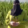 الحاجه نبيله ام خالد 的头像