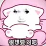Nsion's profile picture