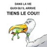 Фото профиля Yves BERNARDINI
