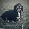 Profilbild von Ferretero81