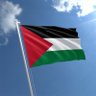 Palestinian Voice's profile picture
