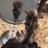 Teresa profil fotoğrafı