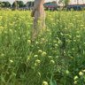 ssdy 的头像