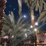 حميده غنّام 的头像