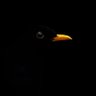 Attaché scientifique's profile picture