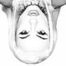 XANADU's profile picture