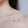 پاندای رژیمی 的头像