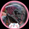 🇯🇵35P_Rider🌸☄️⚖️👾's profile picture