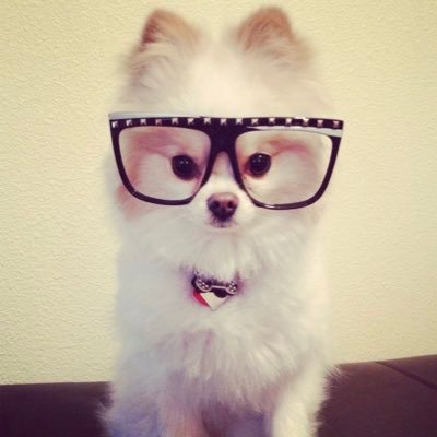 canotdie's profile picture