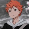 Shoyo's profile picture