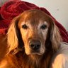 Profilbild von Raymond
