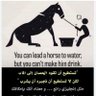 Haider AL_Ghuraibawi's profile picture