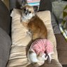 さーよ profil fotoğrafı