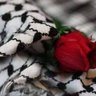 Kholoud🦋 profil fotoğrafı