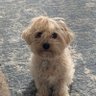 Profilbild von Daisy27