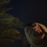 بدر عبدالله🇸🇦's profile picture