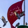 Фото профиля السيد الموسوي