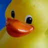 CheekyDuck 的头像