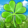 🍀suzurimi's profile picture