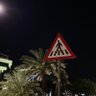 S K profil fotoğrafı