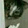 Yat asagi's profile picture